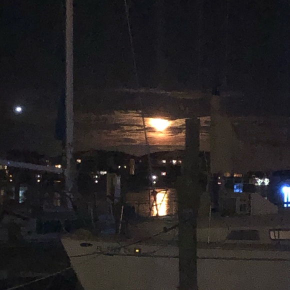 Meet your Posher, Stephanie - Picture 1 of 1